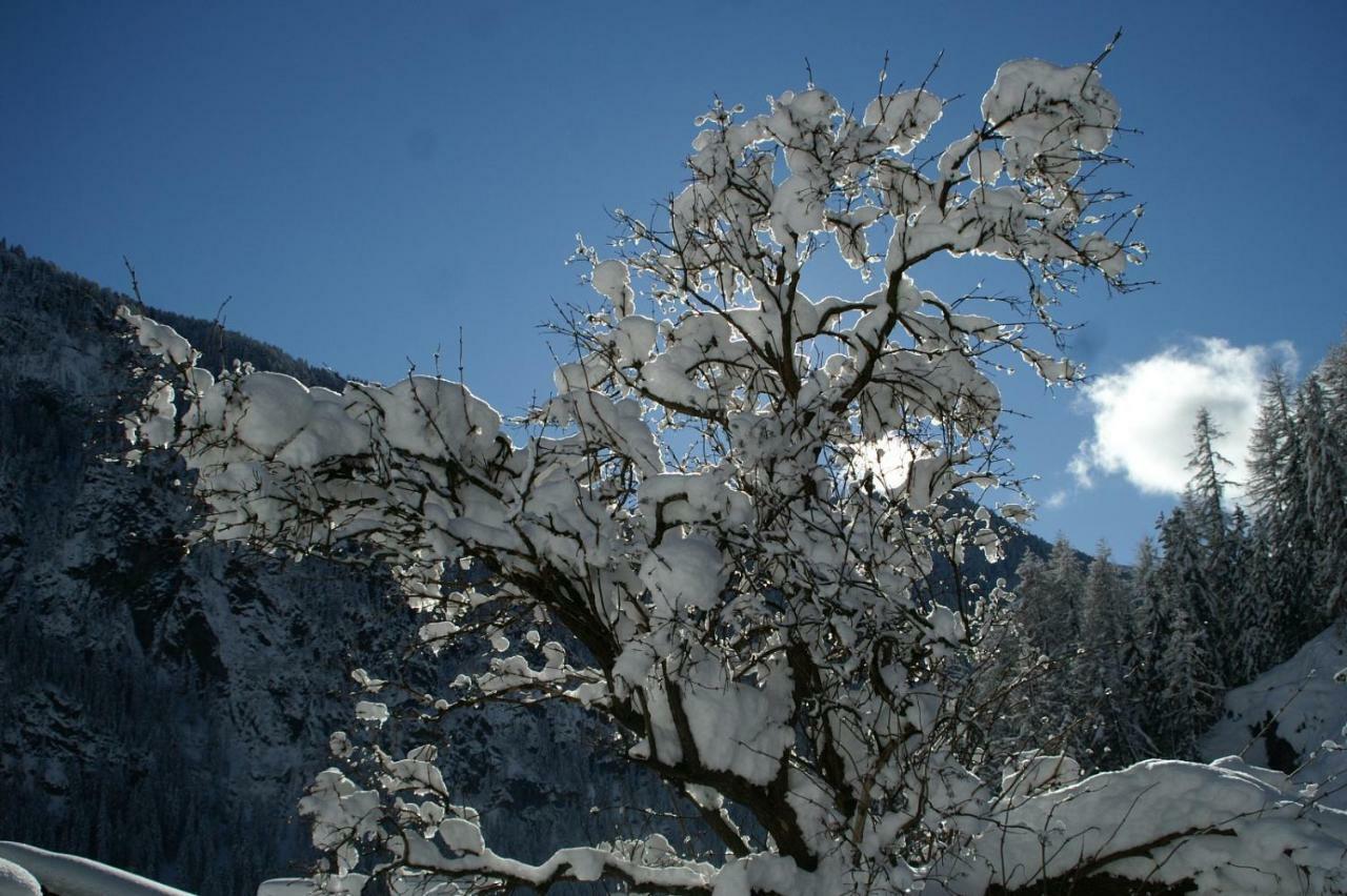 شقة Des Alpes 2 كنازاي المظهر الخارجي الصورة